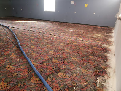 Tex A Clean Carpet Care Llc