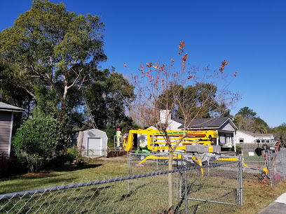 The Branch Manager Tree Service