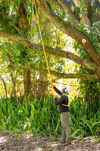 The Davey Tree Expert Company