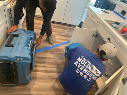 The Mold Avengers | Restoration Company Florida