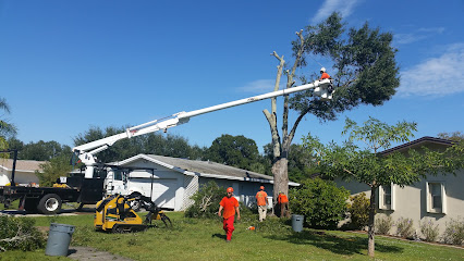 Tree Service Express, Inc.