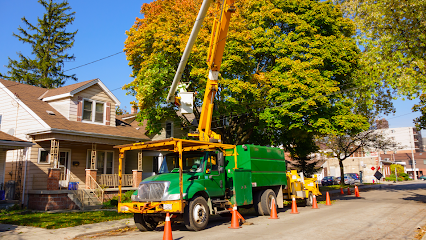 Tree Service Sarasota Llc