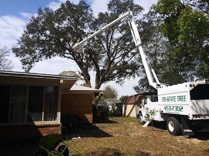 Tri-State Tree Service