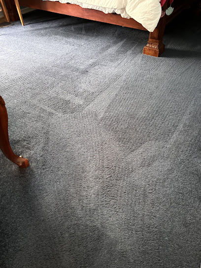 True Clean Carpet & Tile Care