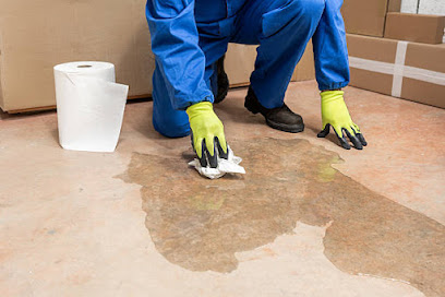 True Restoration Winter Garden Fl