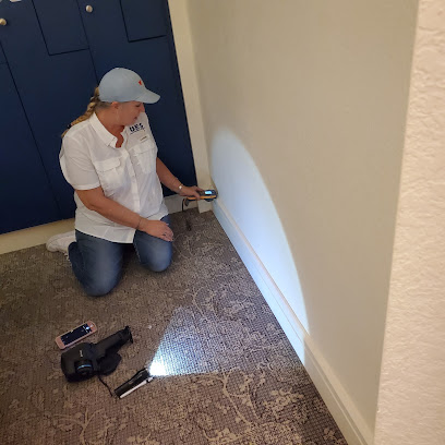 Ultimate Environmental Solutions - Mold Inspection & Environmental Testing