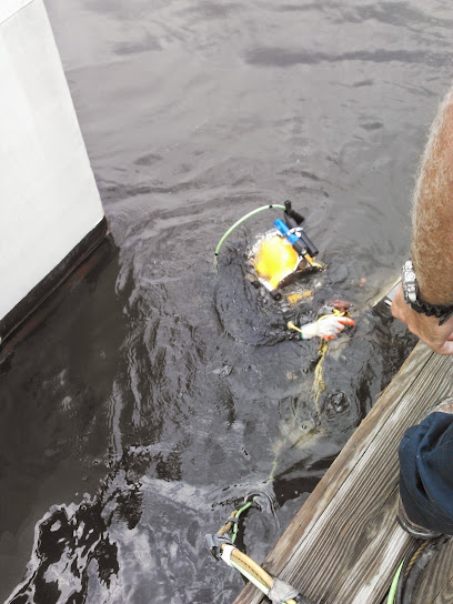 Underwater Mechanix Services Llc