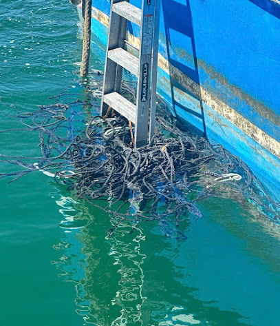 Underwater Resources Florida Keys