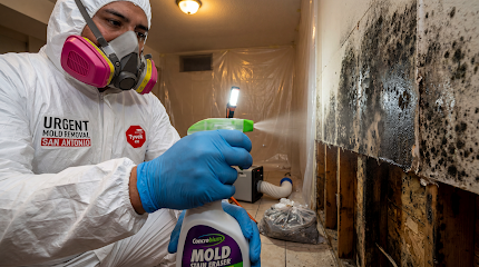Urgent Mold Removal San Antonio