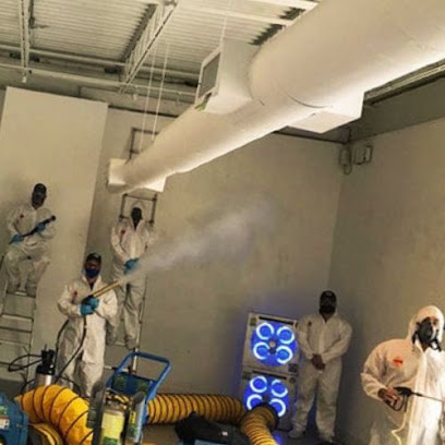 Valasoro Mold Remediation
