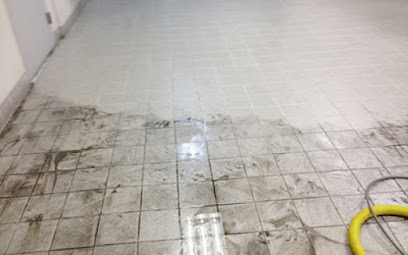 Negocio Vans Carpet & Upholstery Cleaning