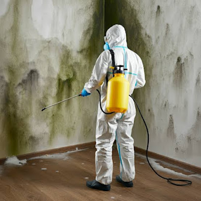 Vector Water Damage Restoration Bellaire