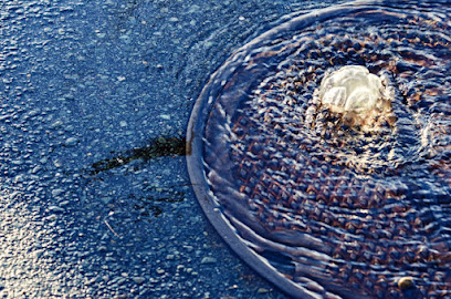Wastewater Transport Services