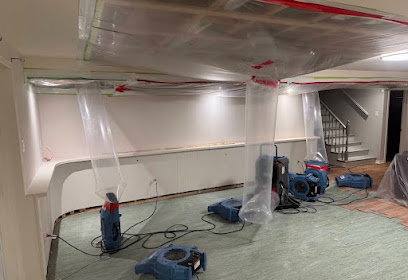 Water Damage Professionals