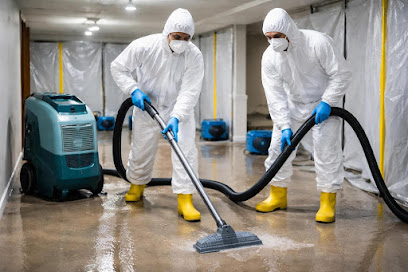 Negocio Water Damage Repair Experts Of Florida, Llc