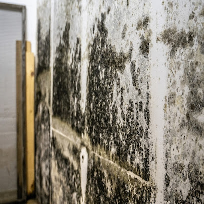 Negocio Water Damage Winter Park