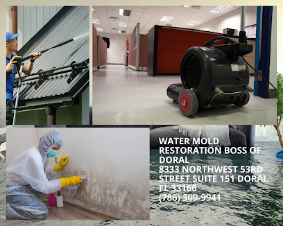 Water Mold Restoration Boss Of Doral