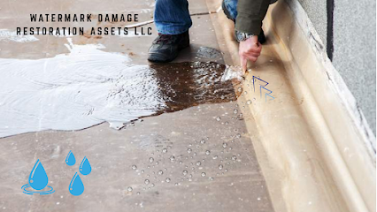 Negocio Watermark Damage Restoration Assets Llc