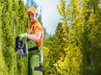 Westbrook Tree Trimming Lubbock