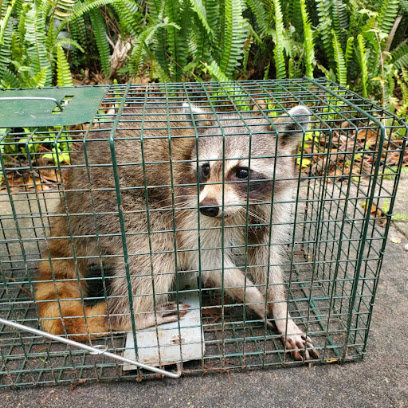 Wildlife Warden
