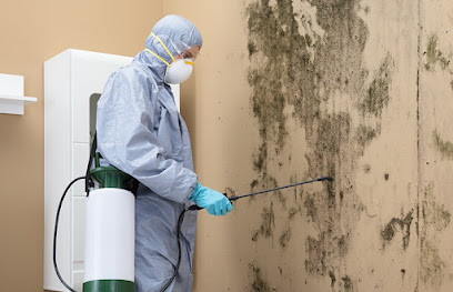 Zerra Water Damage Restoration